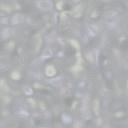 Grau wallpapers