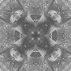 Grau wallpapers