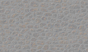 Grau wallpapers