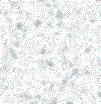 Grau wallpapers