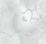 Grau wallpapers