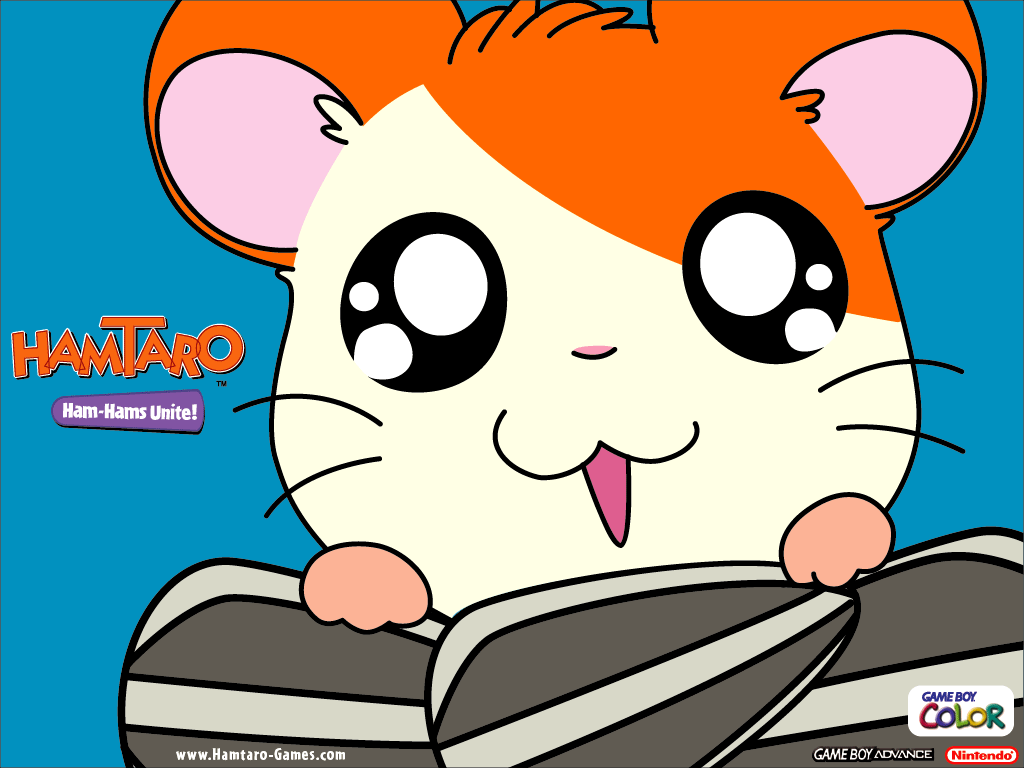 Hamtaro