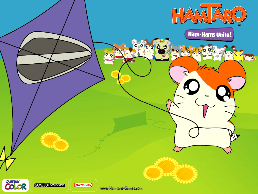 Hamtaro wallpapers