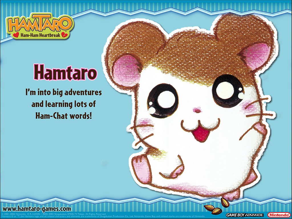 Hamtaro