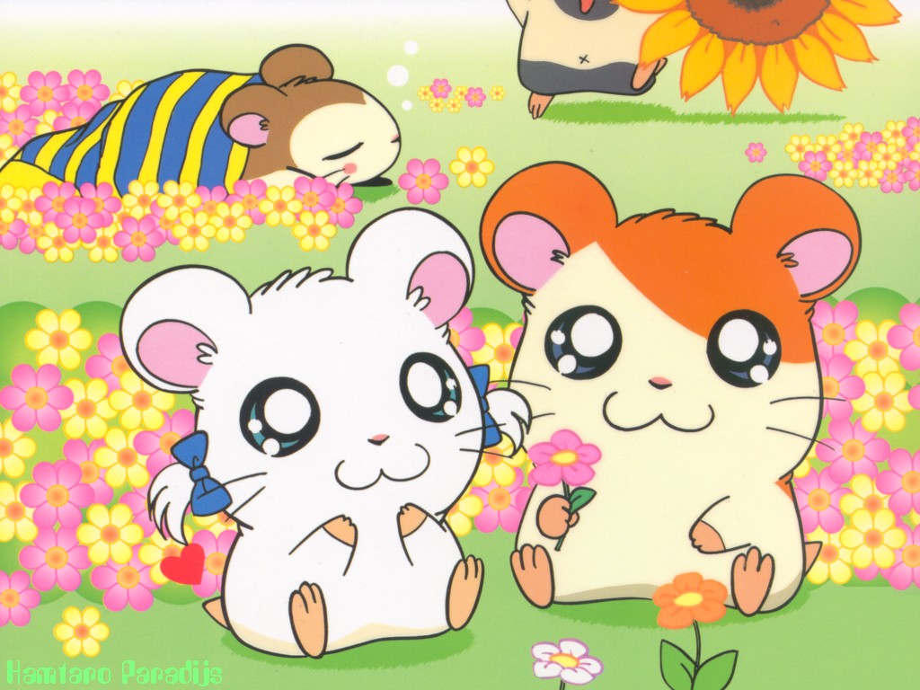 Hamtaro