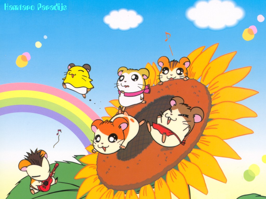 Hamtaro wallpapers