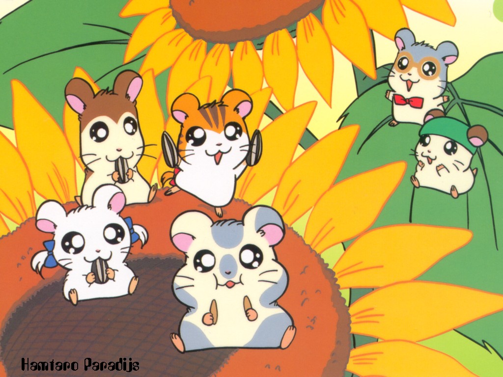 Hamtaro