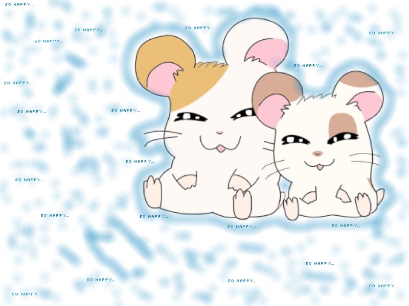 Hamtaro