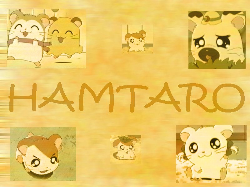 Hamtaro wallpapers