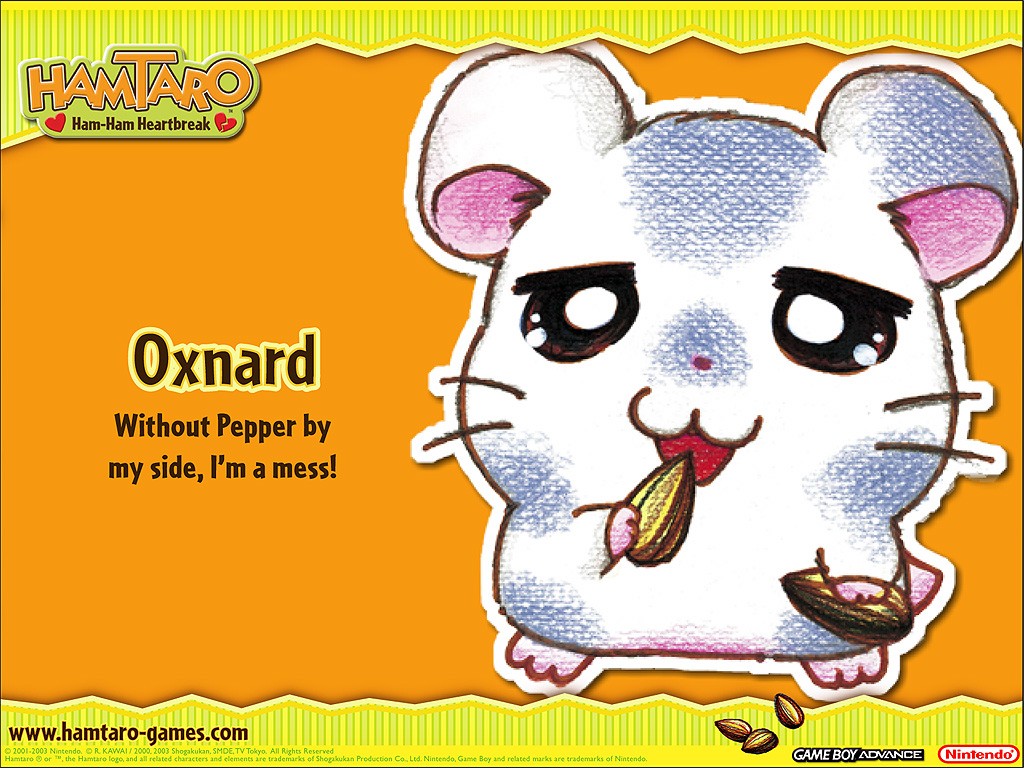 Hamtaro wallpapers