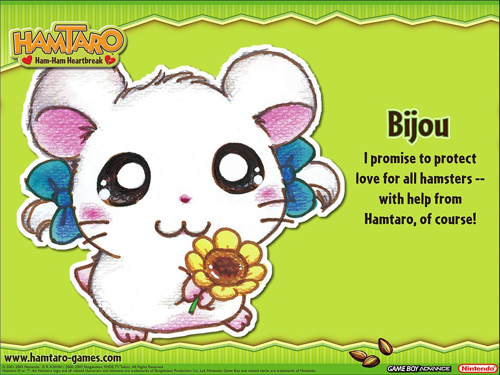 Hamtaro wallpapers