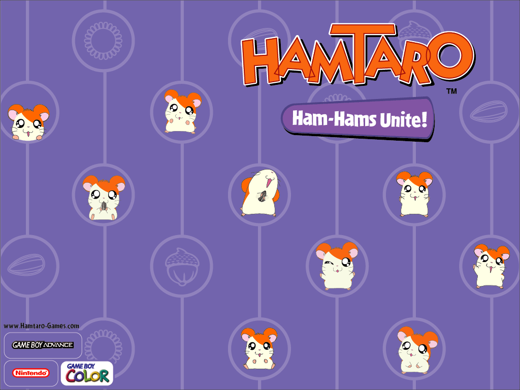 Hamtaro wallpapers