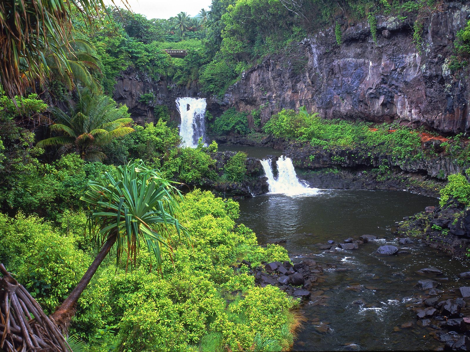 Hawaii wallpapers