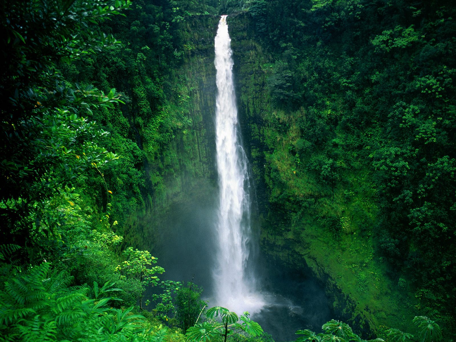 Hawaii wallpapers