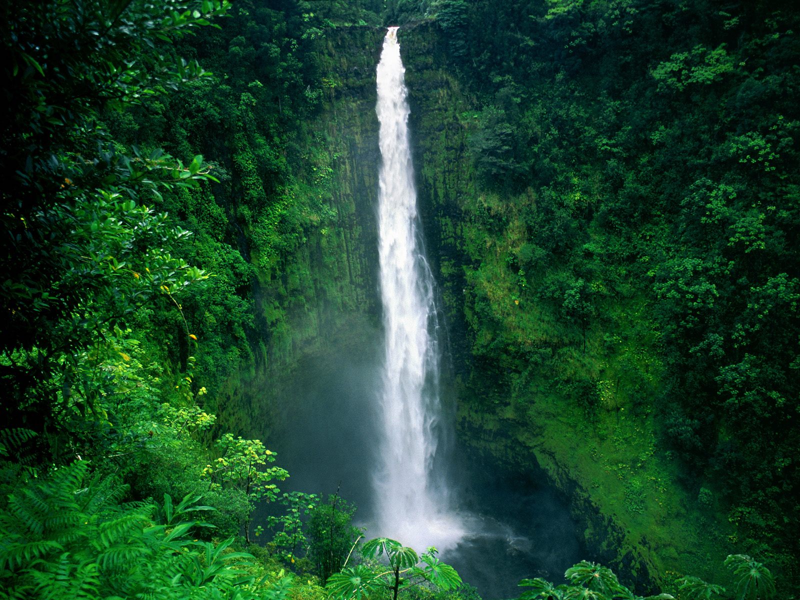 Hawaii wallpapers