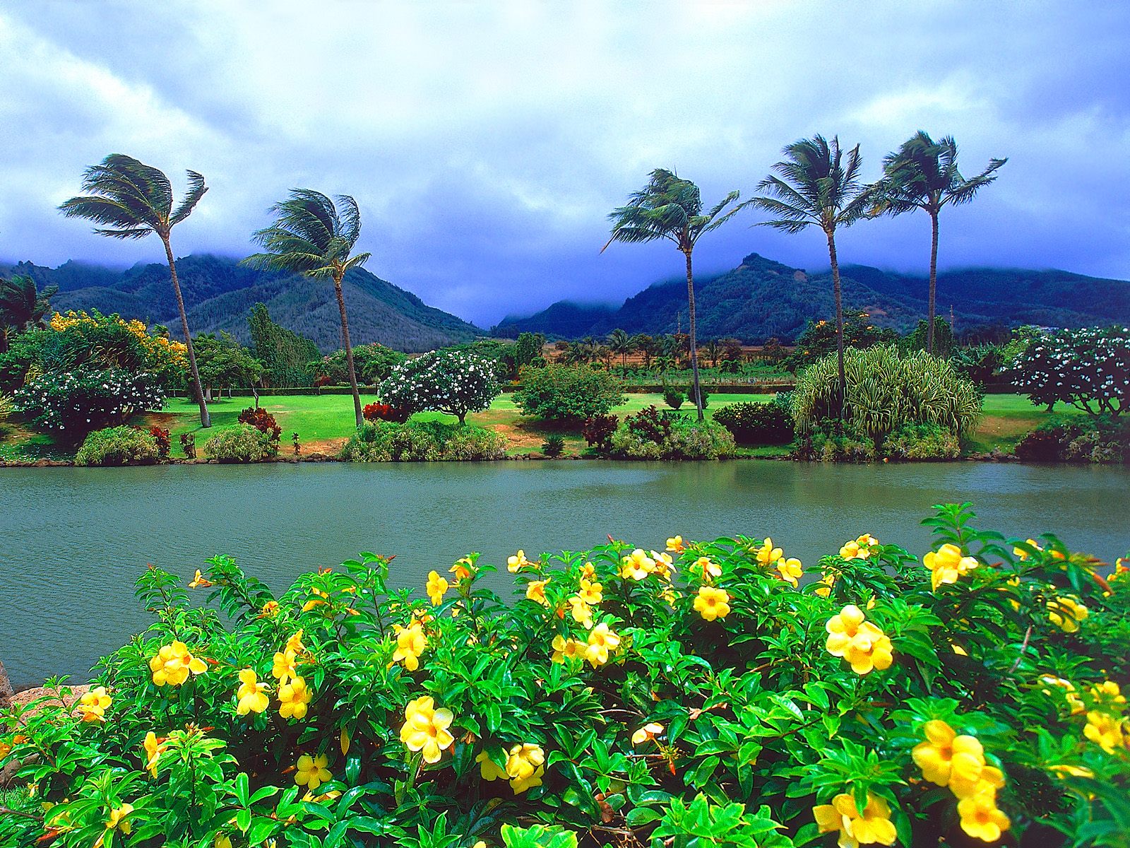 Hawaii wallpapers