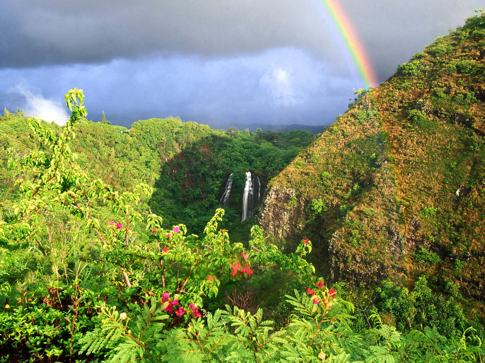 Hawaii