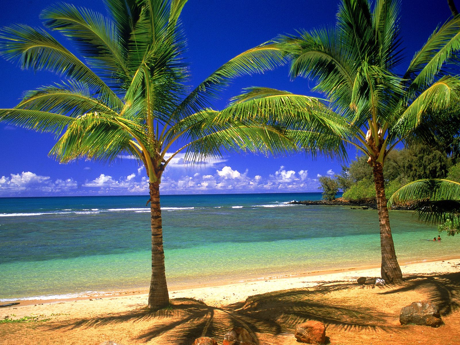 Hawaii wallpapers