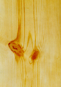 Holz wallpapers