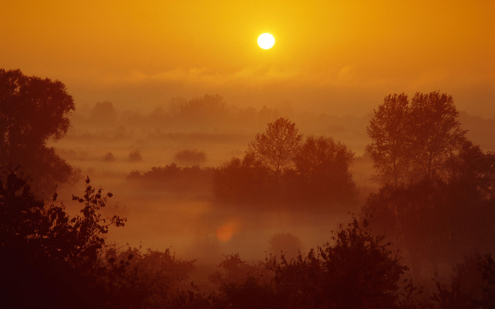 Landschaft