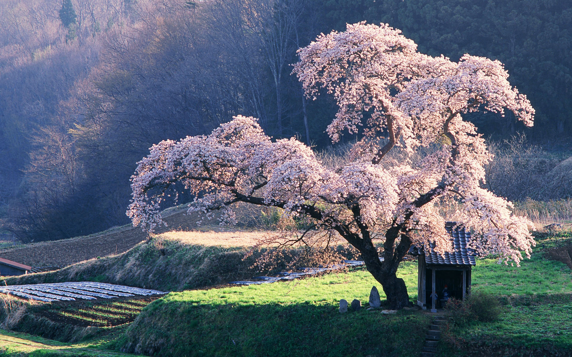 Landschaft