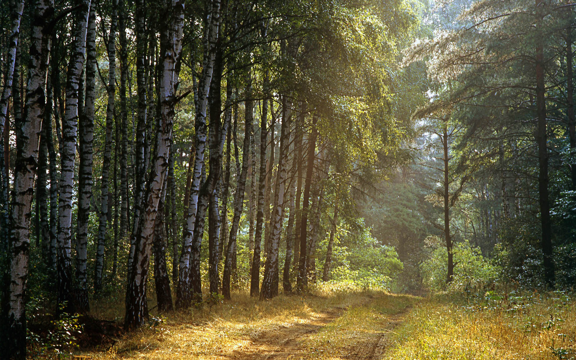 Landschaft