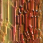 Multicolor wallpapers