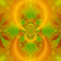 Multicolor wallpapers