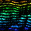 Multicolor wallpapers