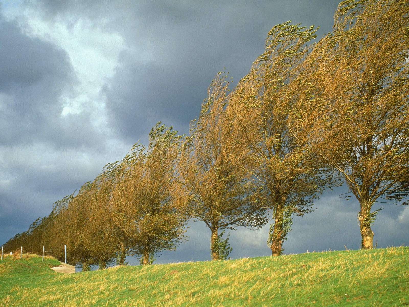 Niederlande