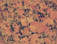 Orange wallpapers