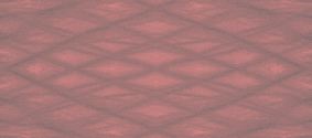 Rosa wallpapers