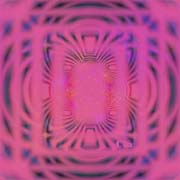 Rosa wallpapers