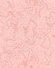 Rosa wallpapers