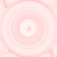 Rosa wallpapers