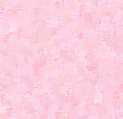 Rosa wallpapers