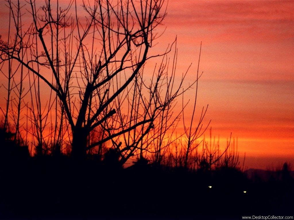 Sonnenuntergang wallpapers