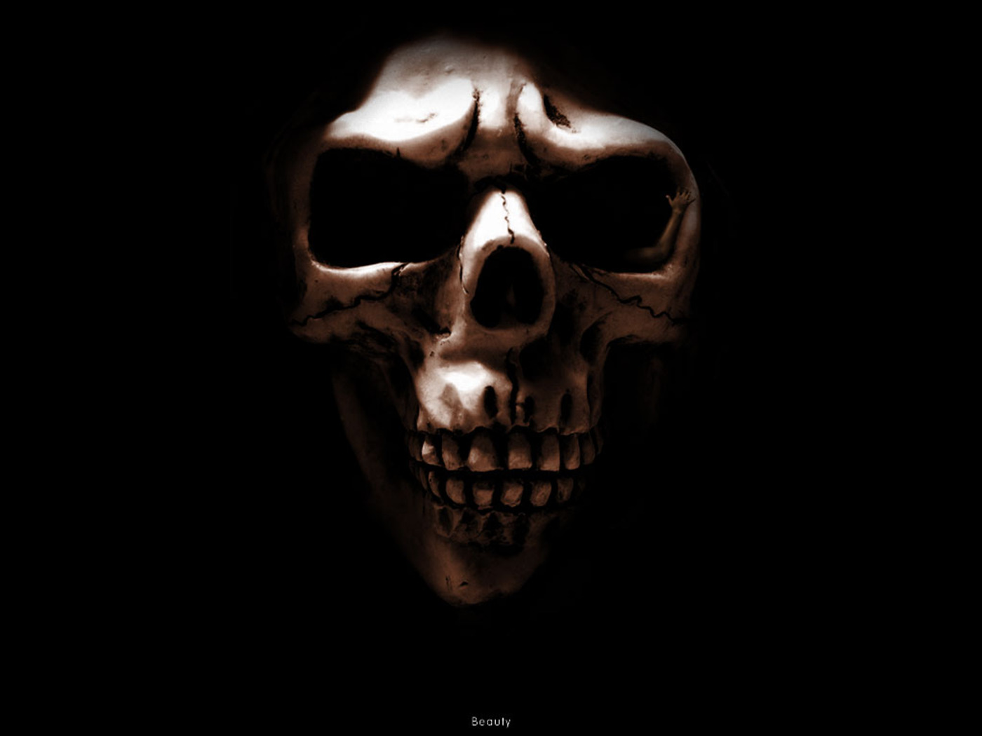 Totenkopf wallpapers