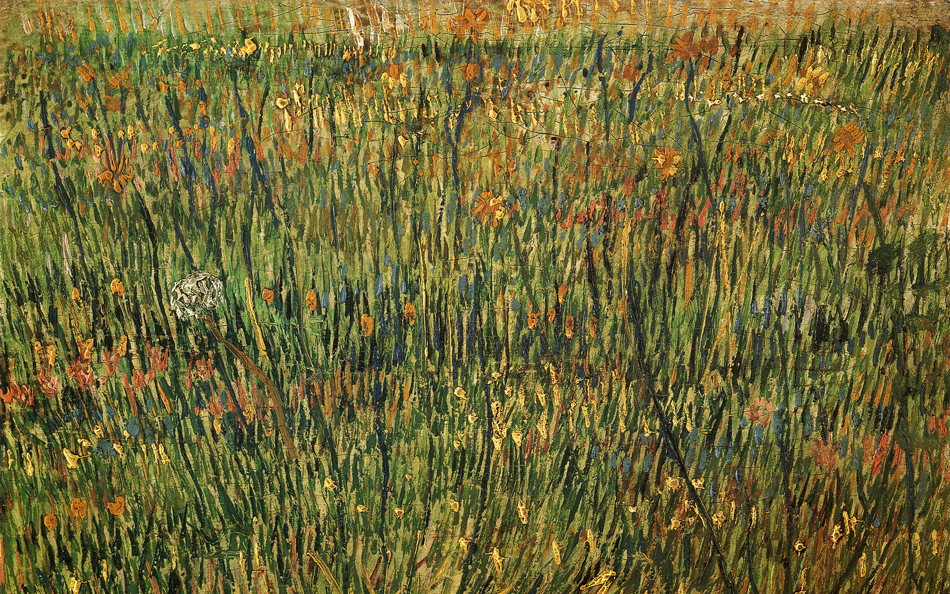 Van gogh