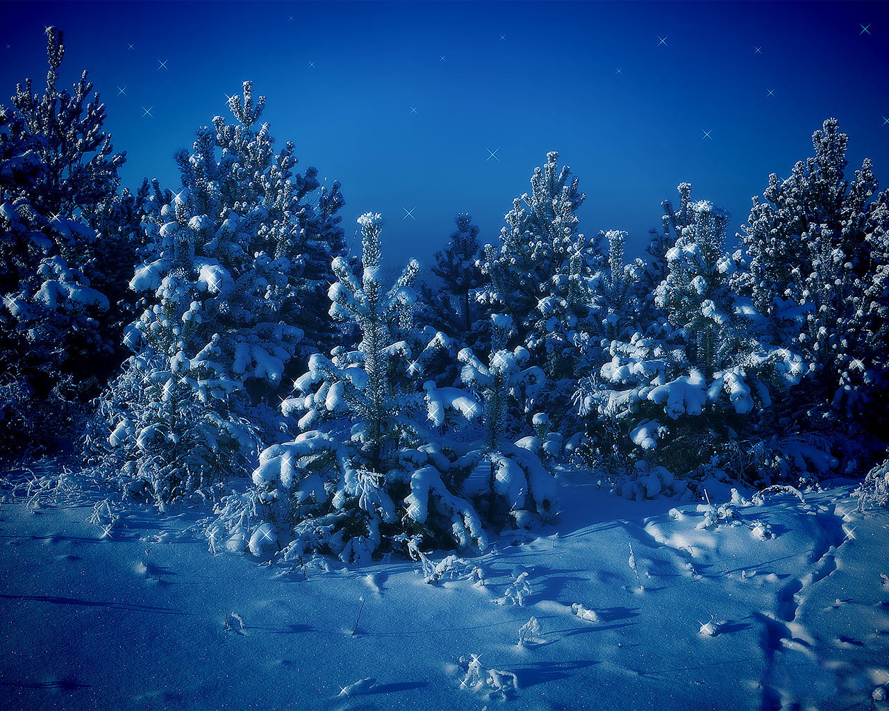 Winter wallpapers